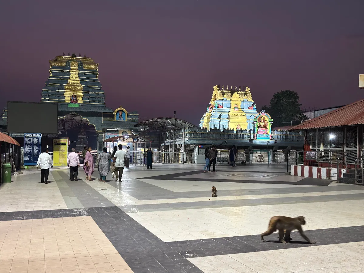 Bhadrakali Temple Main Gate