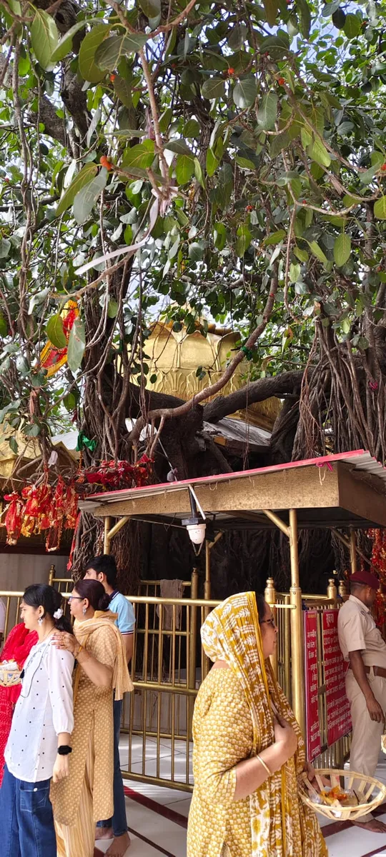 Chintpurni Temple