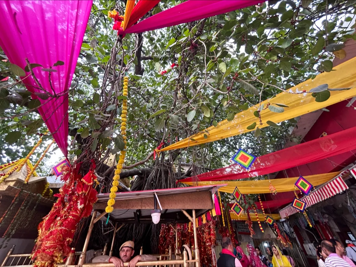 Maa Chintpurni Mandir, Sahnewal