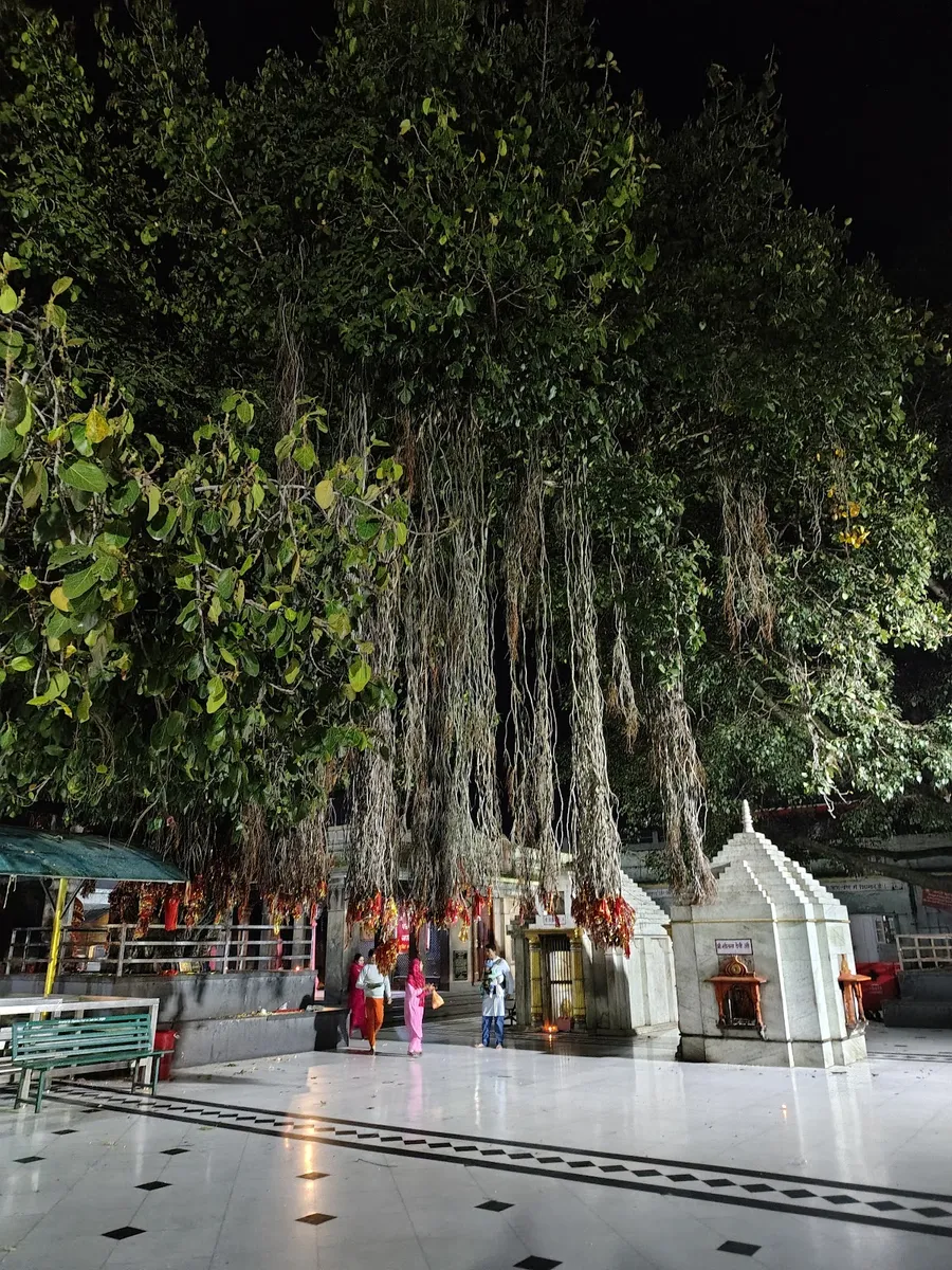 Nagarkoti Mata Mandir Garla