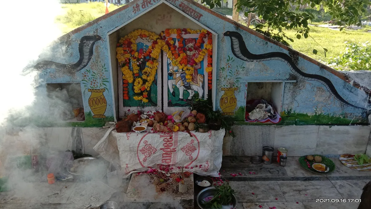Veer Teja ji Temple